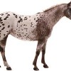 A - Appalossa