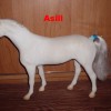 Asill