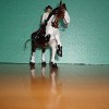 Hidalgo a Braien