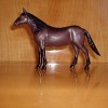 Star of Wailet